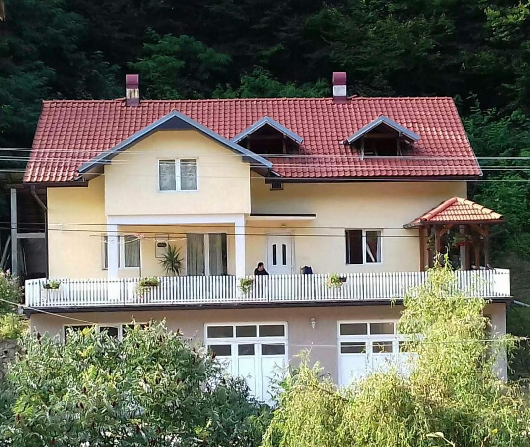 Guesthouse Stanojevic Гуча Екстер'єр фото