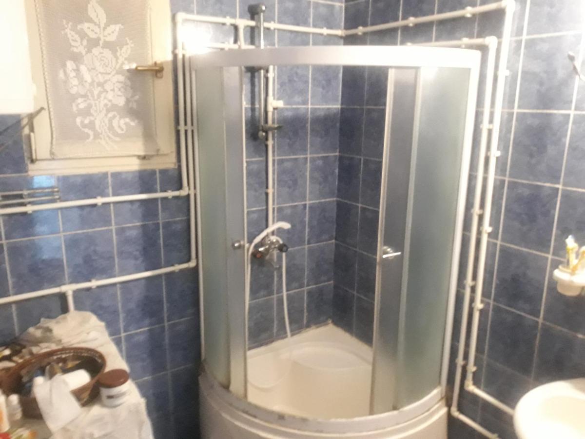 Guesthouse Stanojevic Гуча Екстер'єр фото